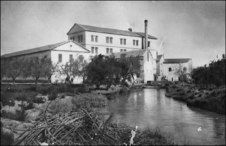Molí d'Alfara a començament del segle XX